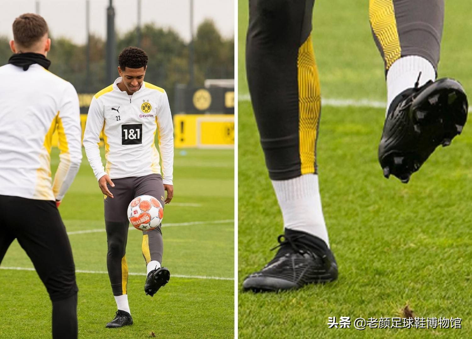 的门前嗅觉 的门前嗅觉