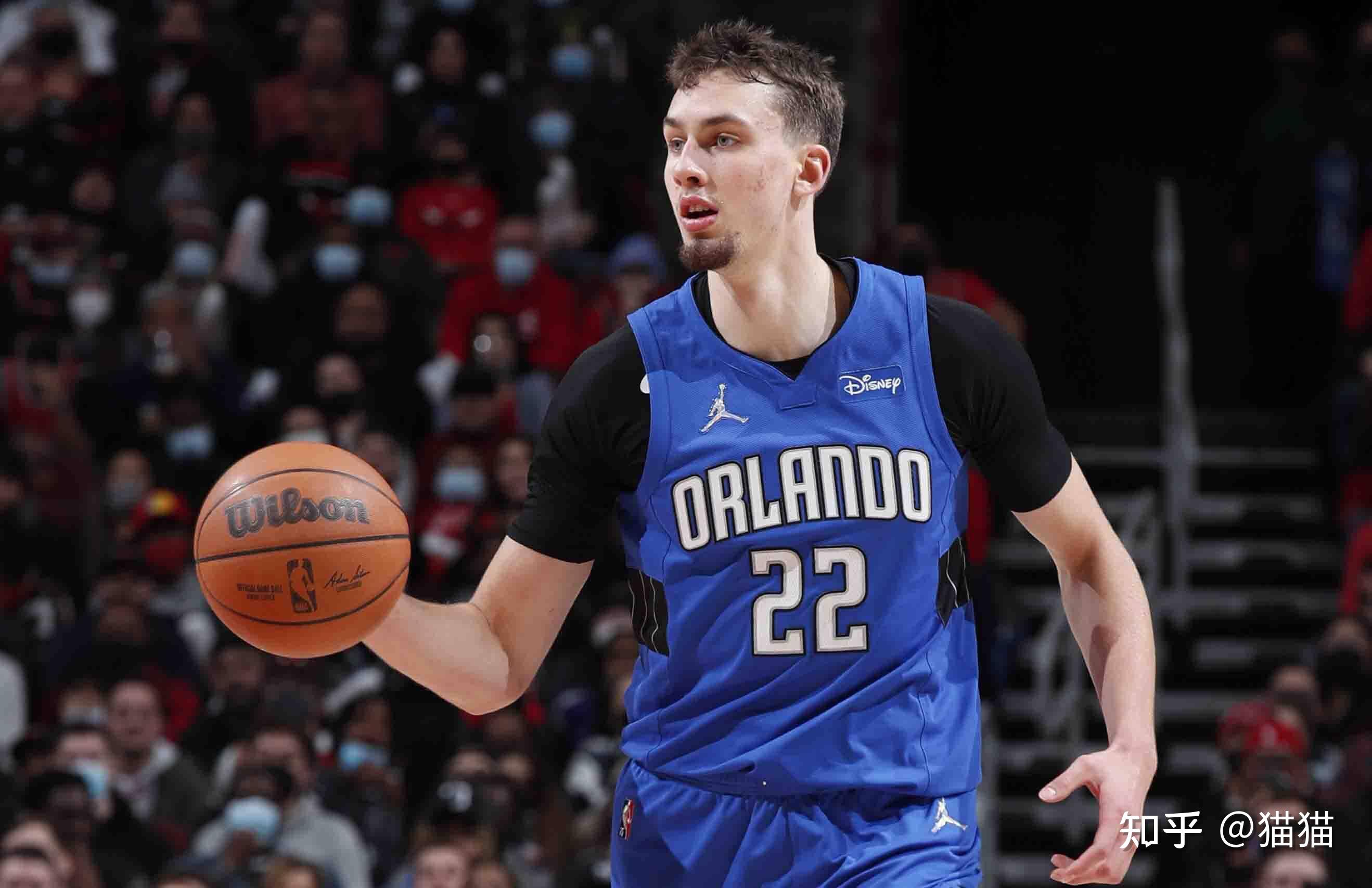 贝尔塔将不 贝尔塔将不