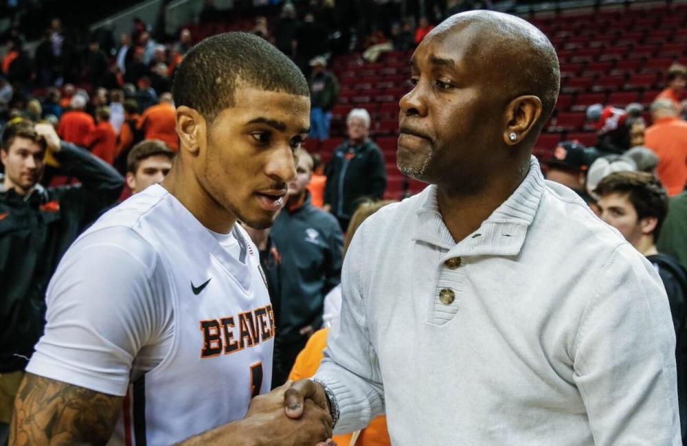 极高的稳定 极高的稳定