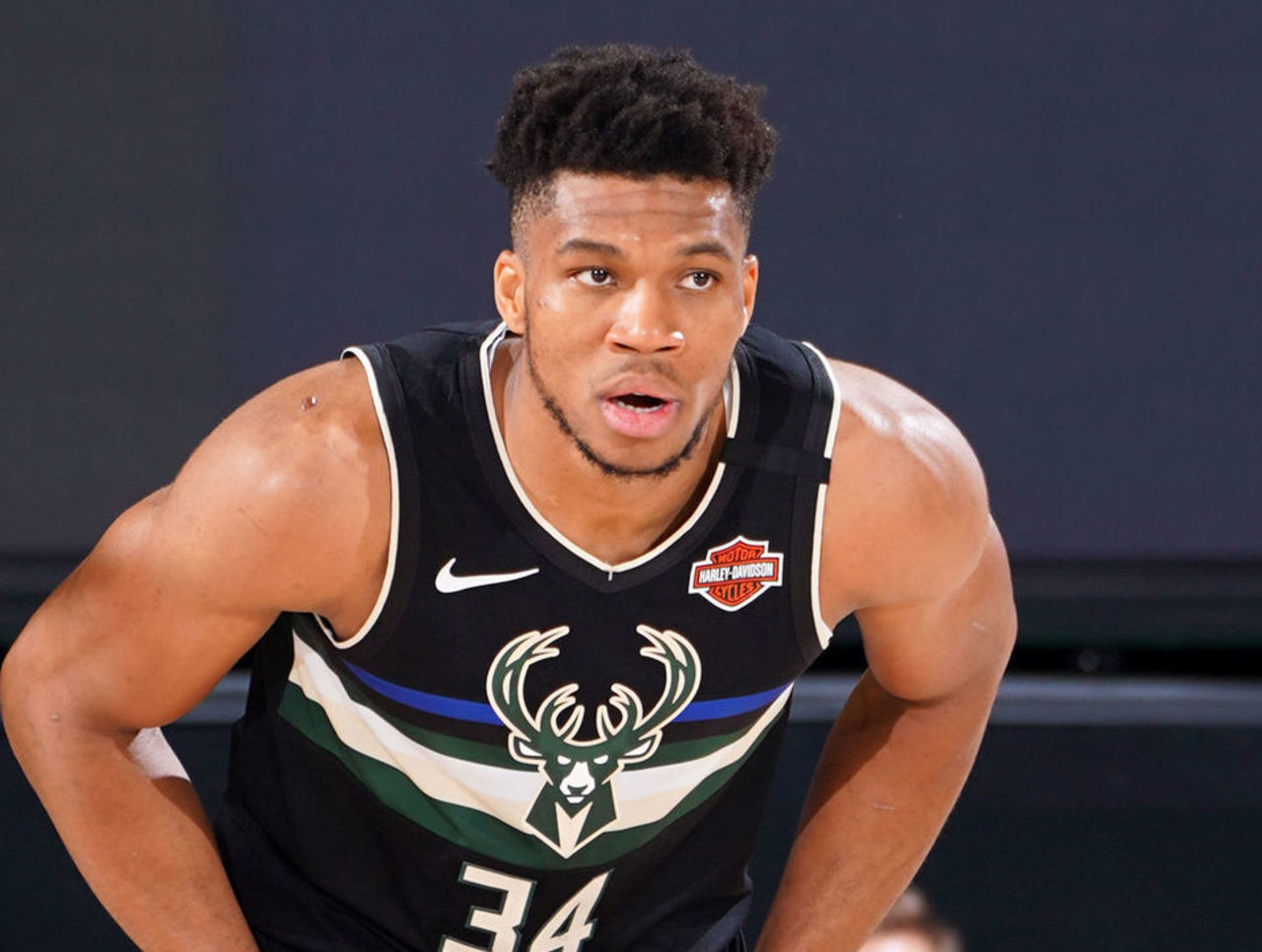 津门虎的主 津门虎的主